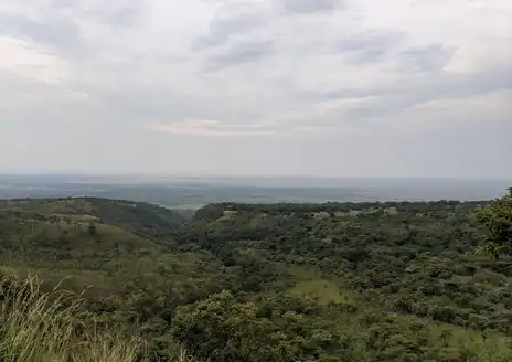 Virunga