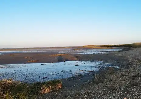 Vadehavet