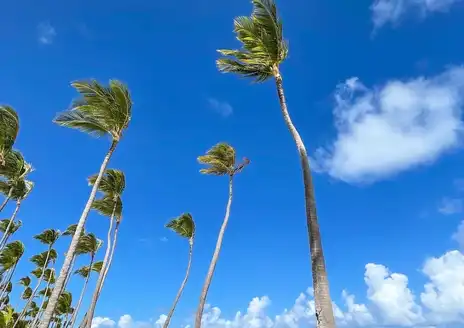 Bavaro Beach