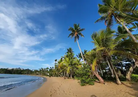 Playa Bonita