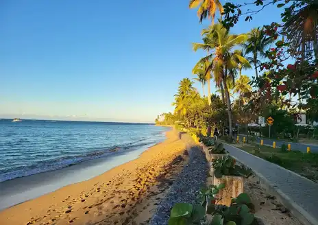 Las Terrenas