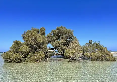 Wadi El Gemal
