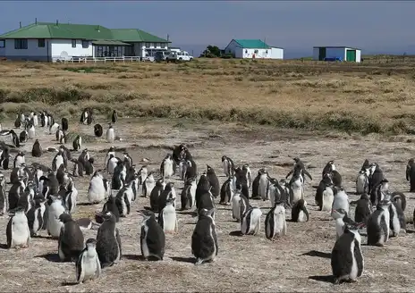 Sea Lion Island