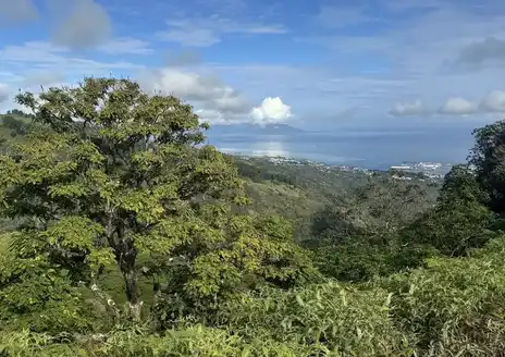 Mount Aorai