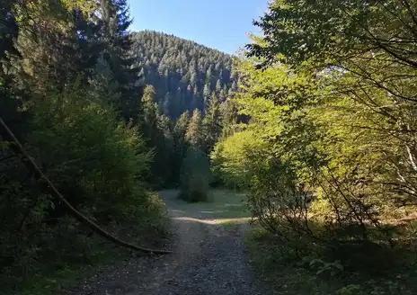 Borjomi to Likani