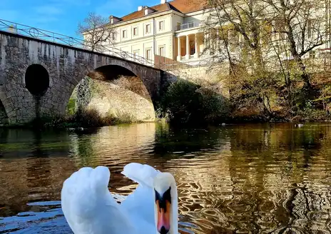 Weimar