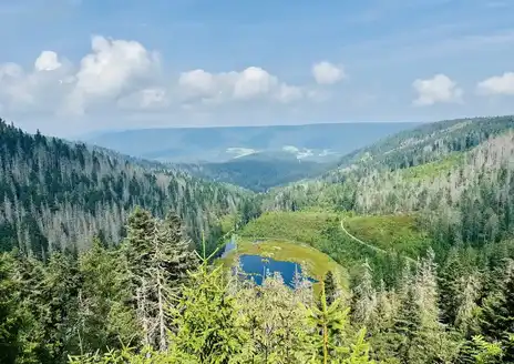 Black Forest