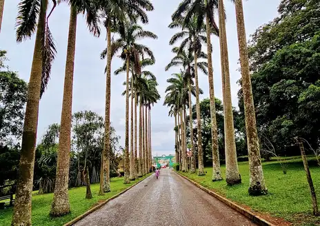 Aburi Botanical Gardens