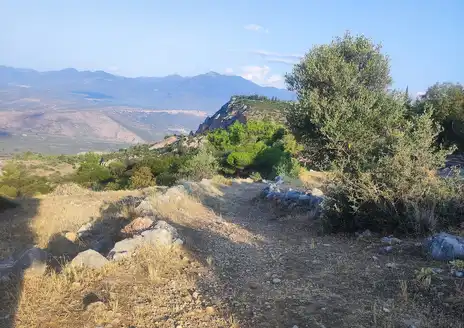 Delphi to Kirra Trail