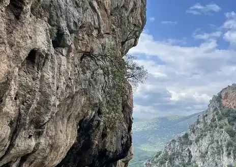 Lousios Gorge