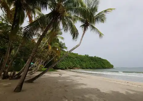 La Sagesse Beach