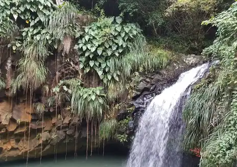 Annandale Falls