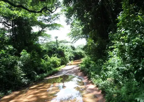 Cantanhez Natural Park