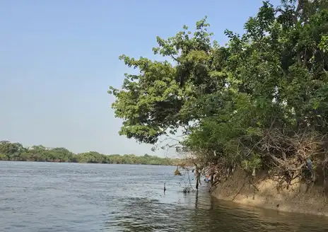 Haut Niger