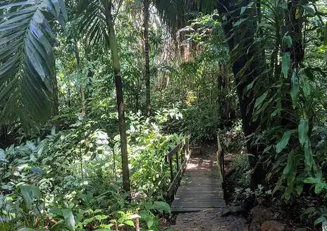 Carambola Botanical Gardens & Trails