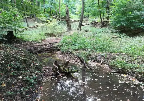Mecsek Mountains