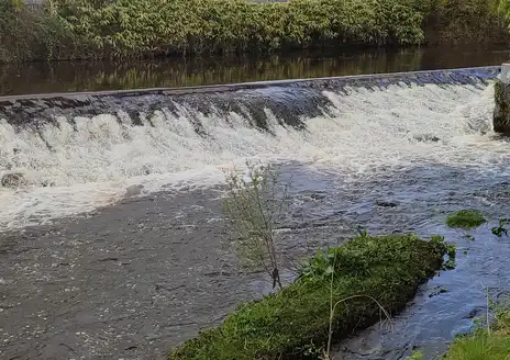 Birr