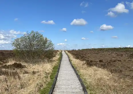 Clara Bog Nature Reserve
