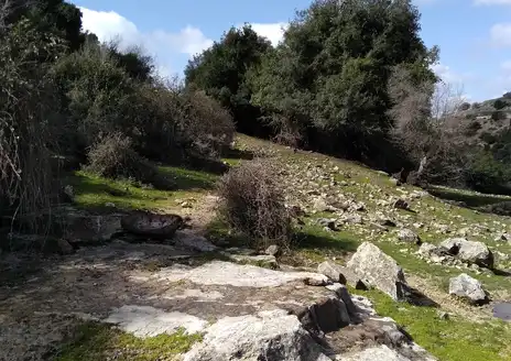 Mount Meron