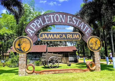 Appleton Estate Rum Experience