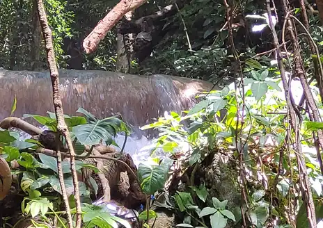 Bluefields
