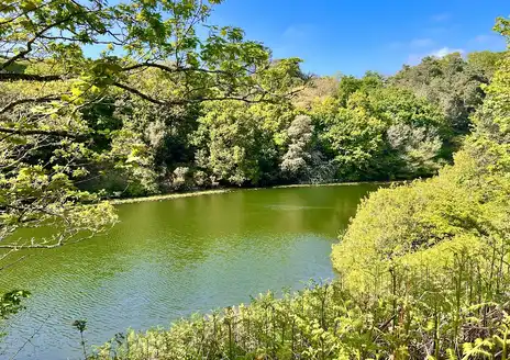 Val de la Mare Reservoir walk