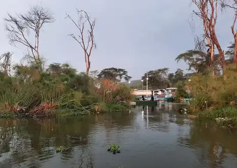 Naivasha