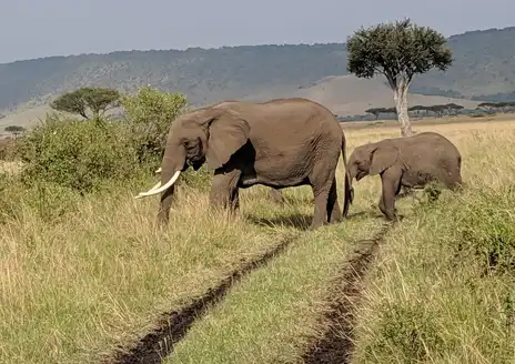 Mara Triangle
