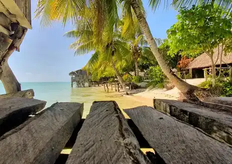 Bamboo Beach