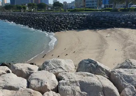 Marina Beach
