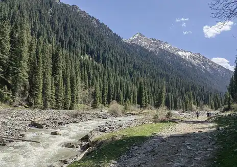 Karakol