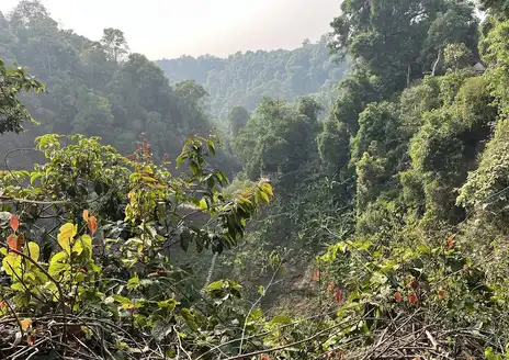 Bolaven Plateau Loop