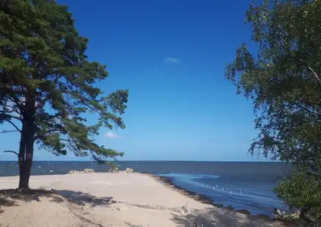 Kolka Beach