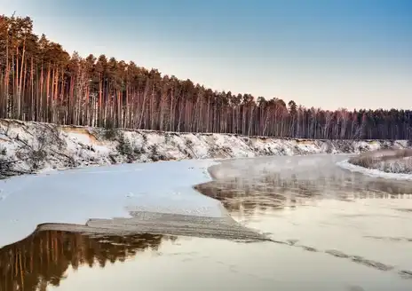 Gauja
