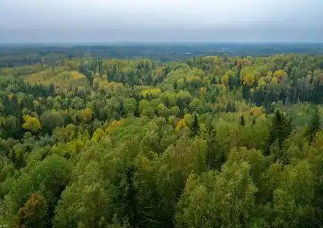 Rāzna