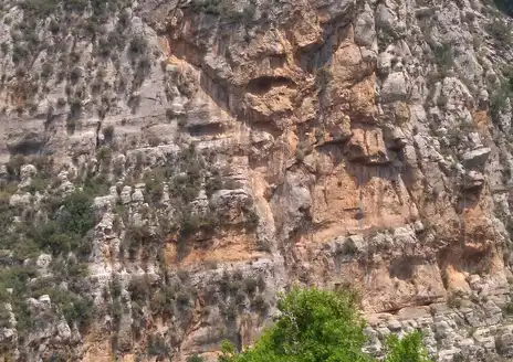 Tannourine