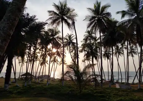 Buchanan Beach