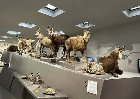 Liechtensteinisches Landesmuseum