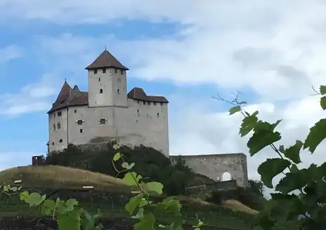 Gutenberg Castle