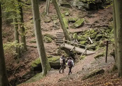 Mullerthal Trail