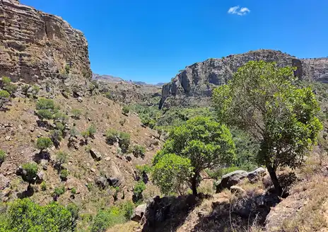 Isalo