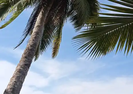 Nosy Boraha