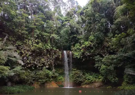 Lambir Hills