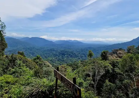 Taman Negara