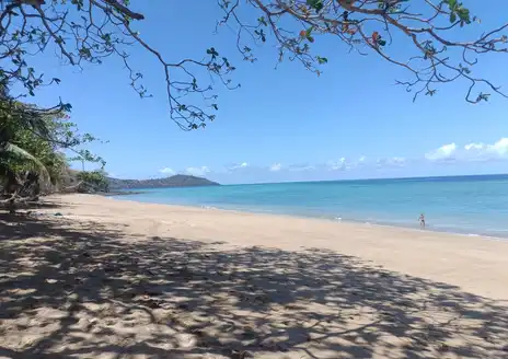 Koni-Djodjo