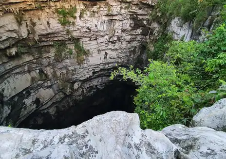 El Sótano de las Golondrinas