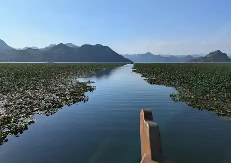 Skadar Lake