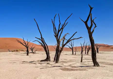 Namib-Naukluft