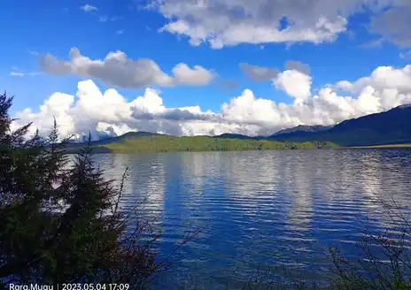 Rara