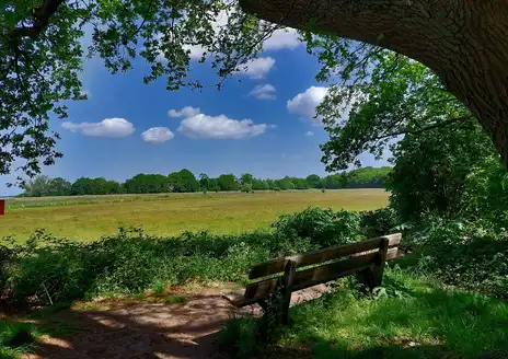 Naarden